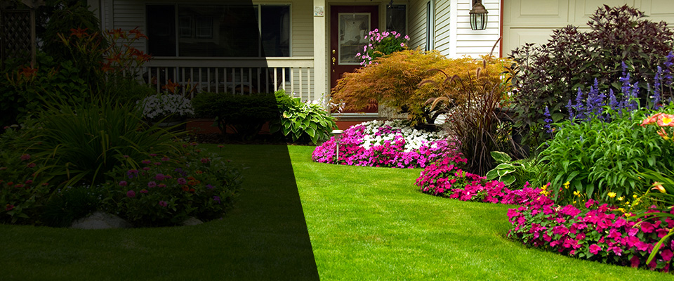 Hazleton Landscapers