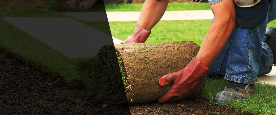 Hazleton Landscapers